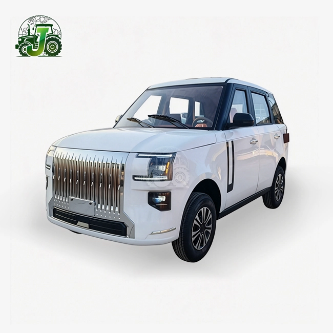 Passenger Four-Wheel Electric Vehicle